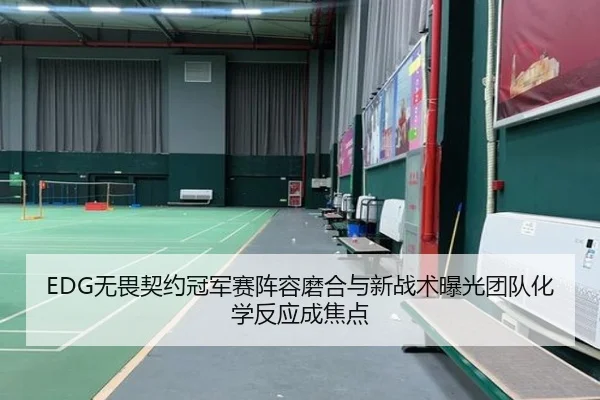 EDG无畏契约冠军赛阵容磨合与新战术曝光团队化学反应成焦点
