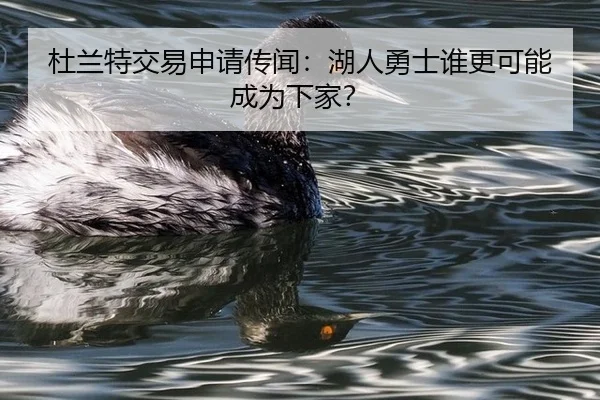 杜兰特交易申请传闻：湖人勇士谁更可能成为下家？